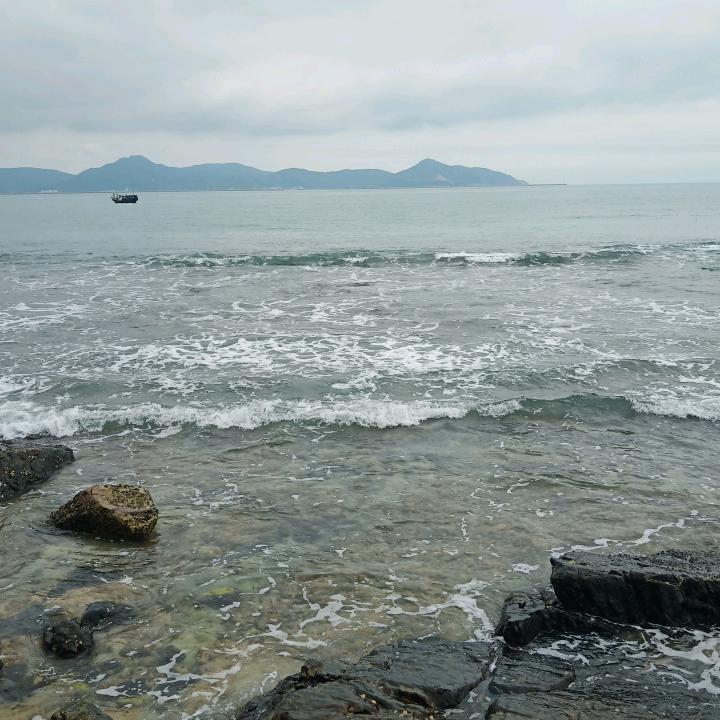 秃秃哥