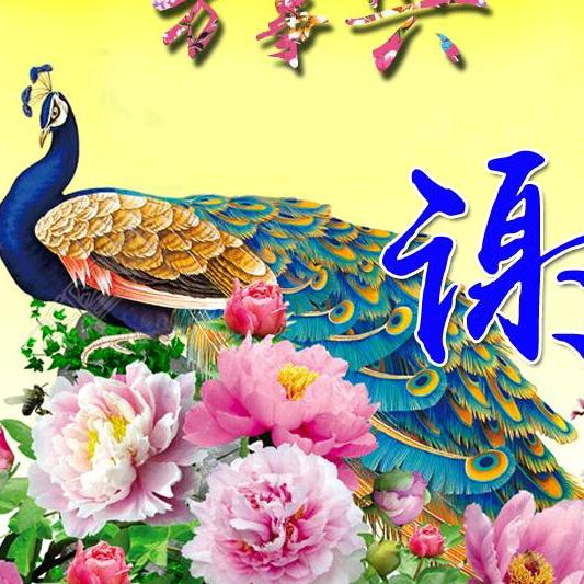 装修工谢哥
