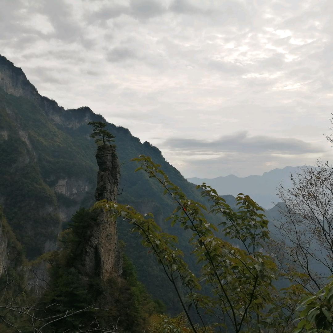 自家酿的纯高粱酒