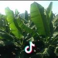 小傅推拿