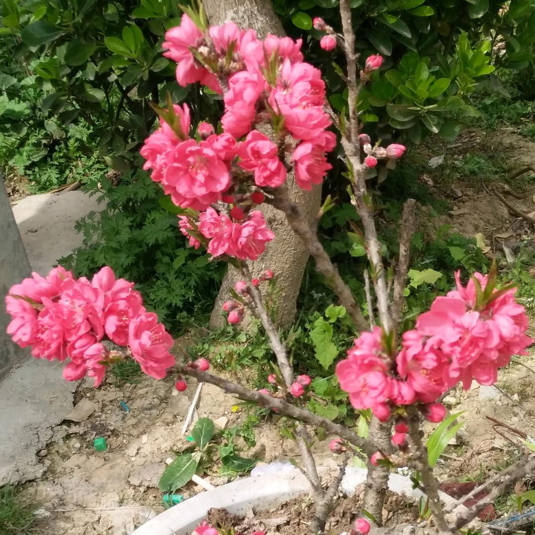 做出艺术品
