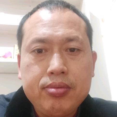装修哥养鱼
