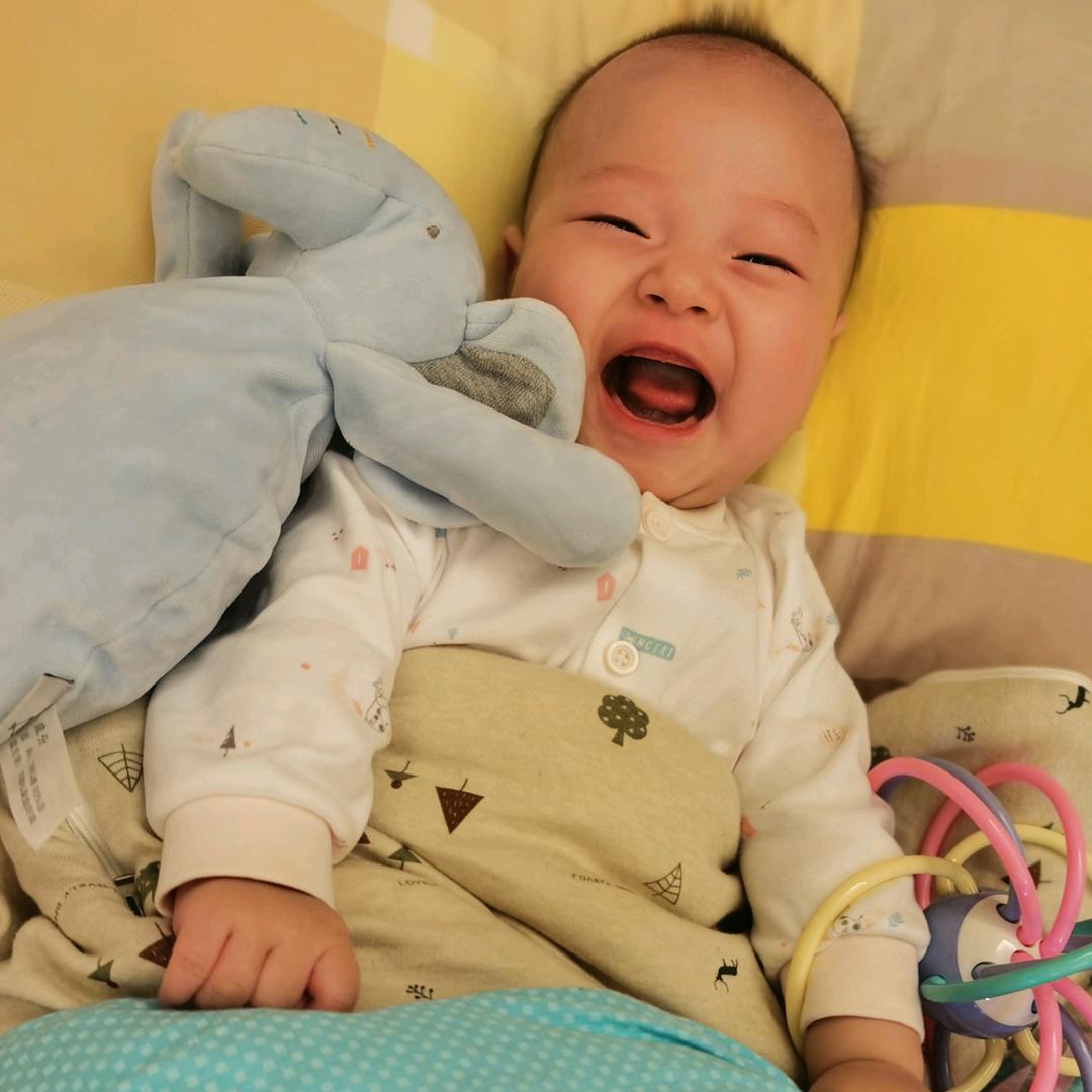 Silve的小元宝💋💋