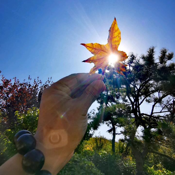 拍着玩，（记录生活）