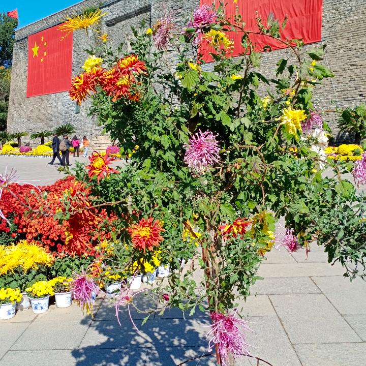默念