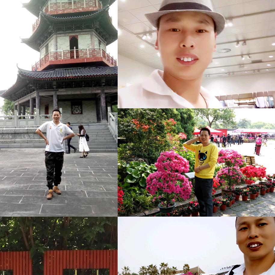 我的后半生