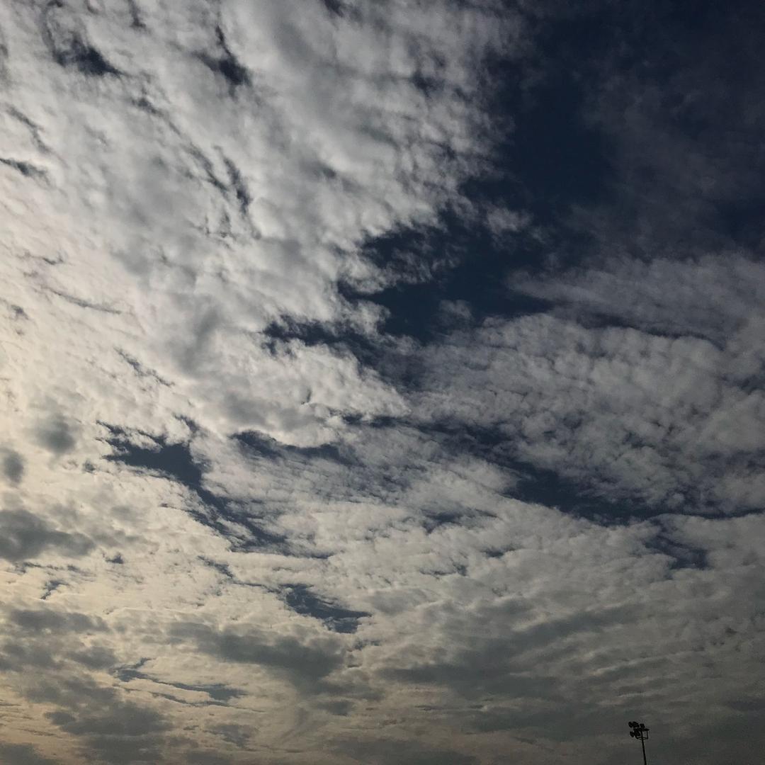 小熊🐻说走就走