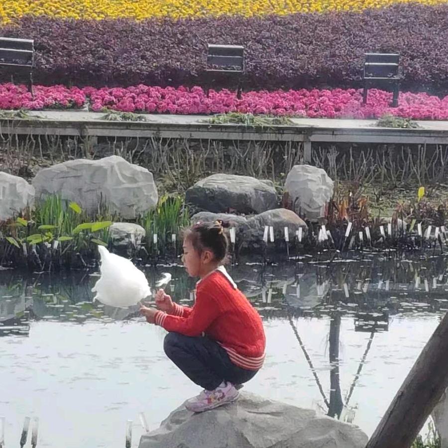 雨后阳光