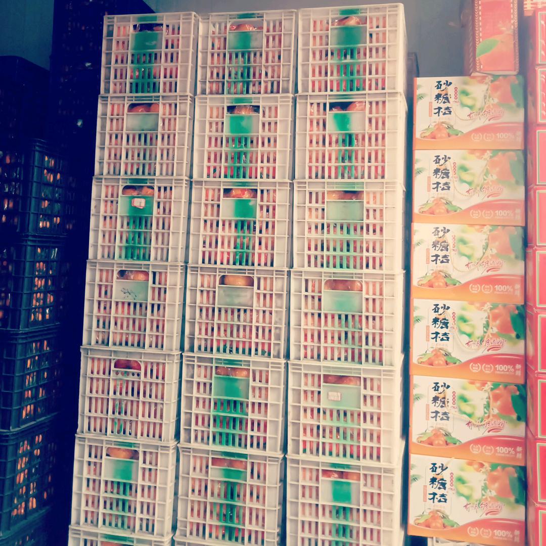 安庆海吉星水果批发市场小毛果行