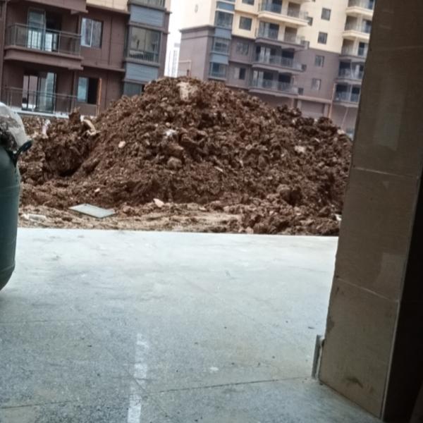 ，路过