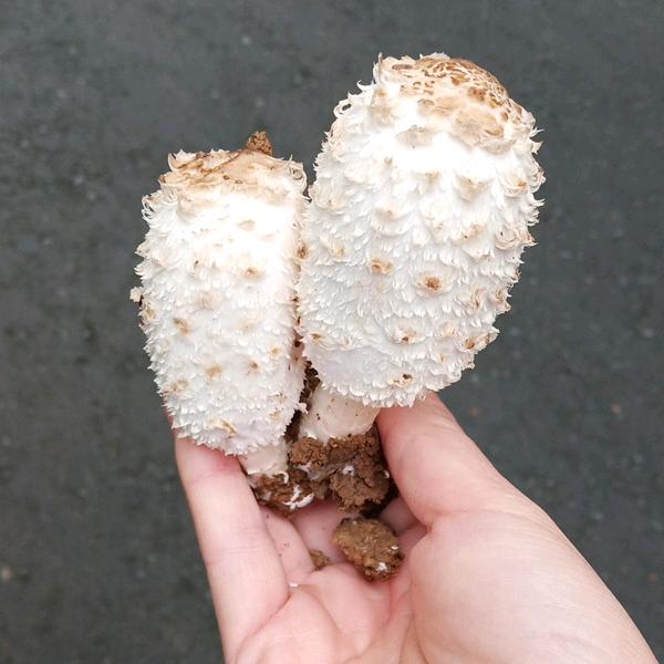 一笑而过