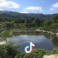 子非我