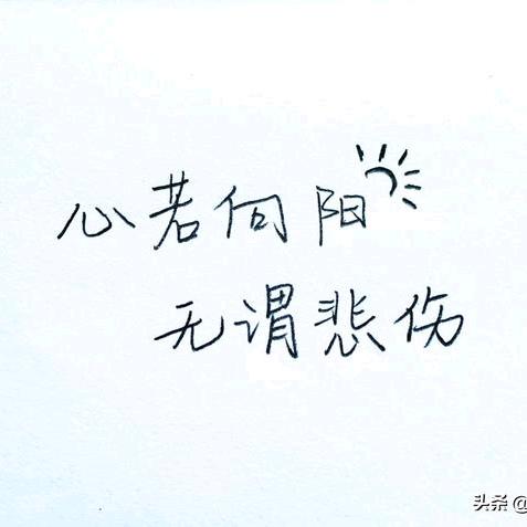 🌸春燕🌸