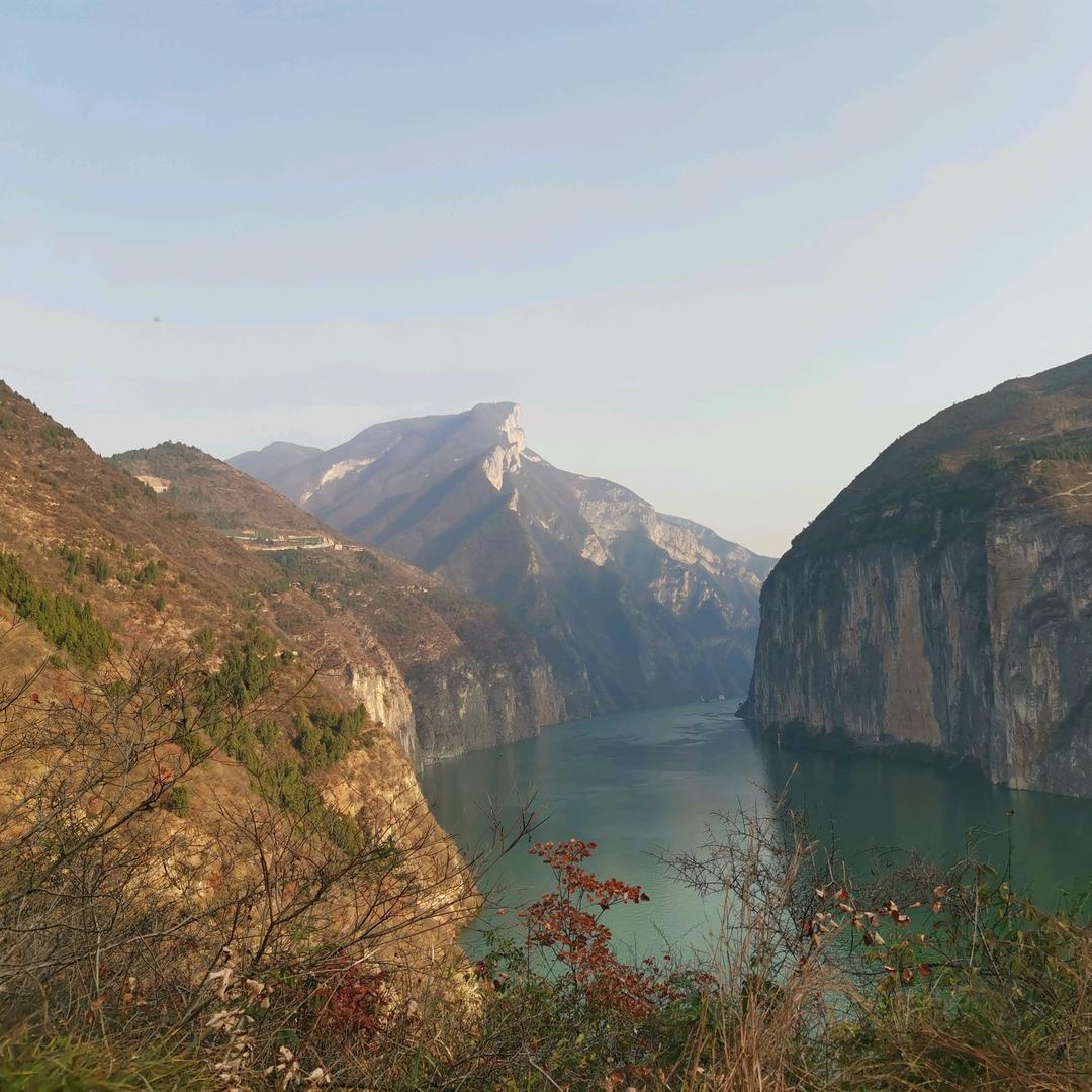 不做鲤鱼做泥鳅