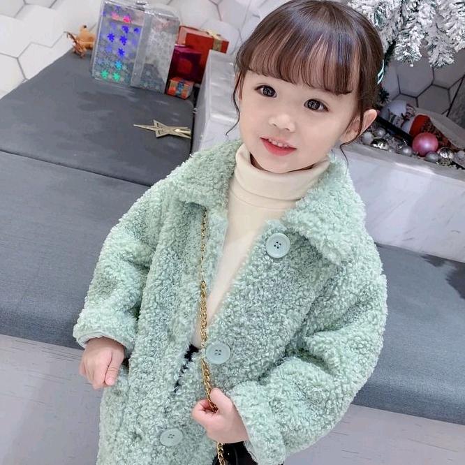 阳阳广式脆皮烤鸭