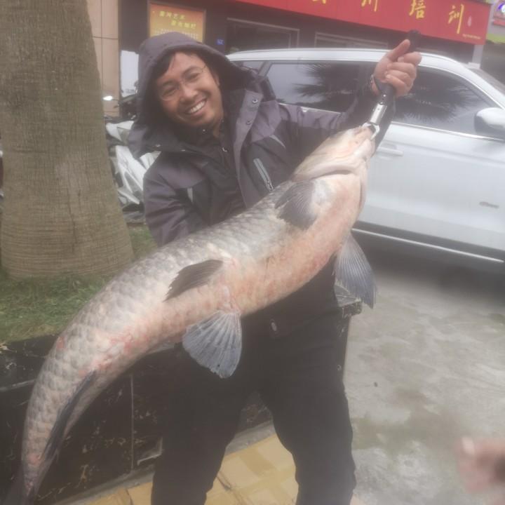 普定野钓渔具（普定老包谷）