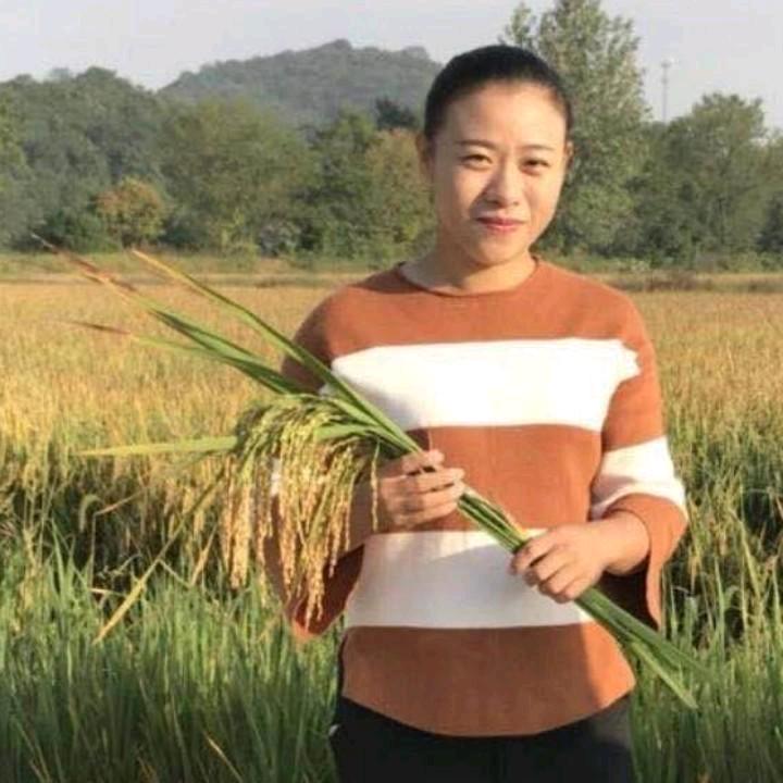 陈来凤