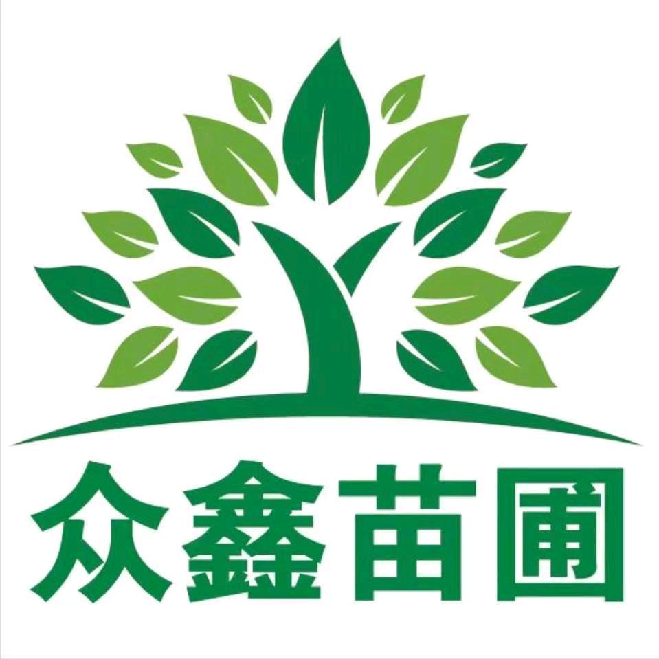 春雷苗圃