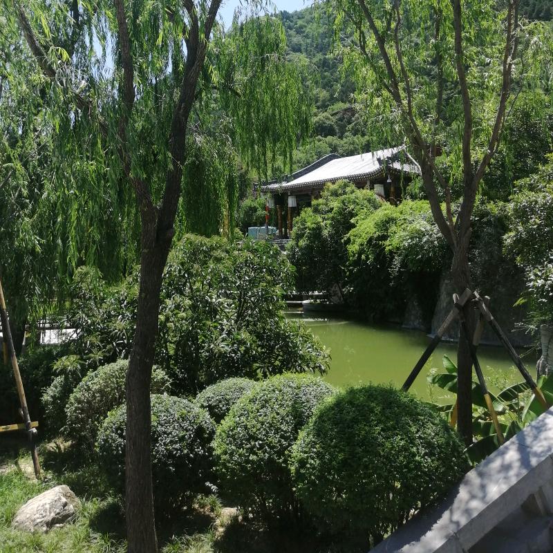 德阳房产张哈哈