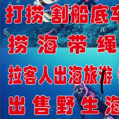 海洋资源潜水打捞