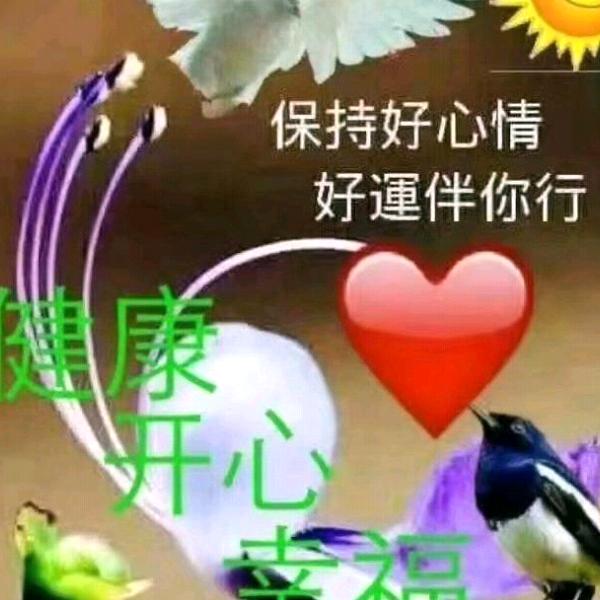 勿忘我@