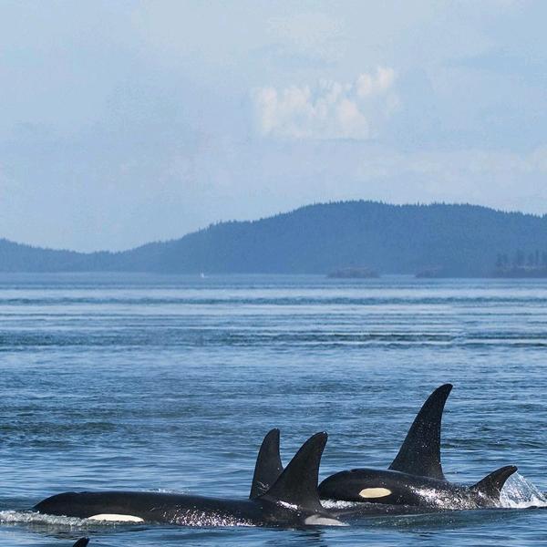 小元 在  , ,,，。