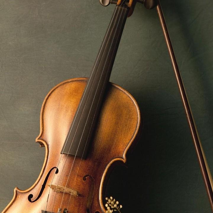 来自乀北方的狼