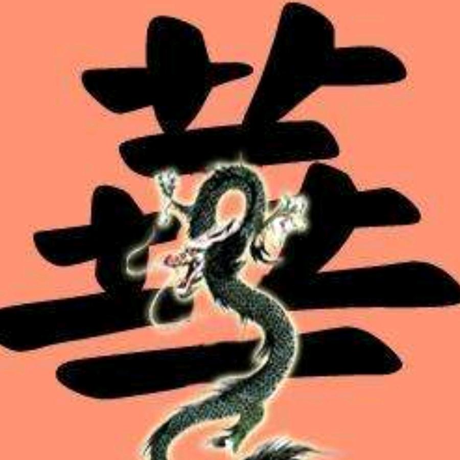 中国🇨🇳安保