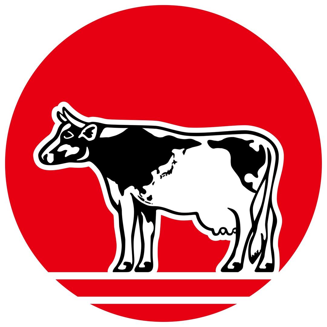 期福（厦门）贸易有限公司767专卖店