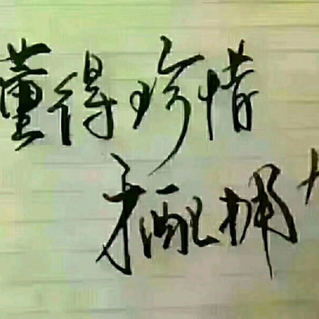 梦想前行