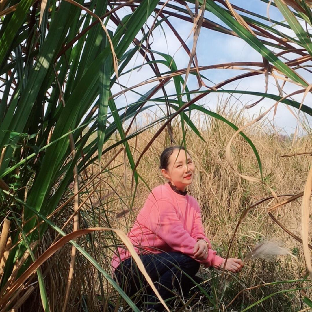 伊璐芳华