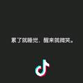 鲁V货运小趴菜