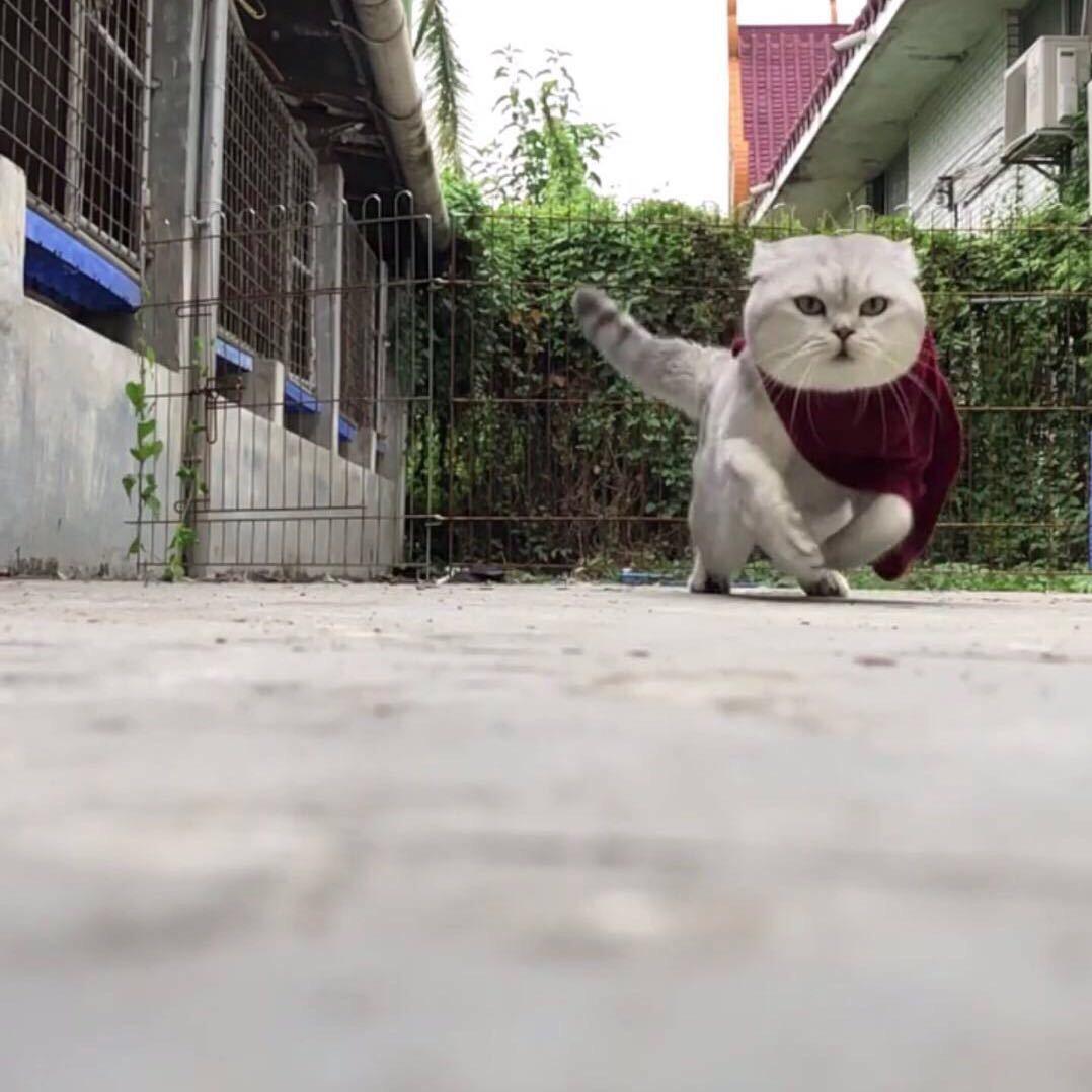 ゛ˇ多少有点想的美™