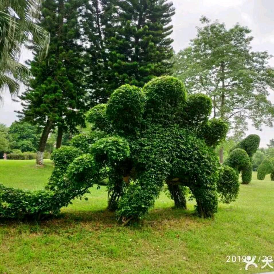 开心每一天