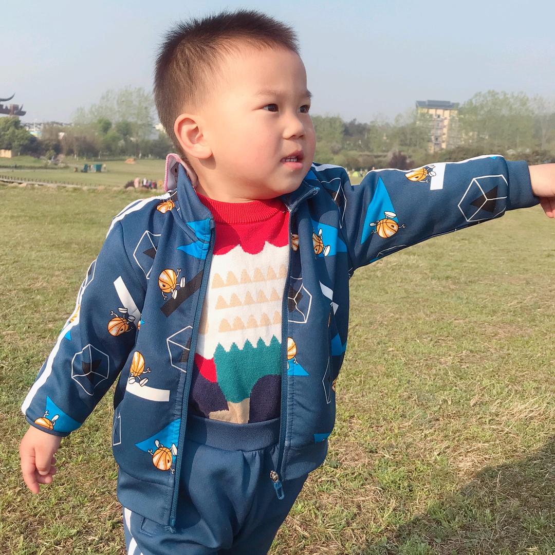 毛豆锅锅