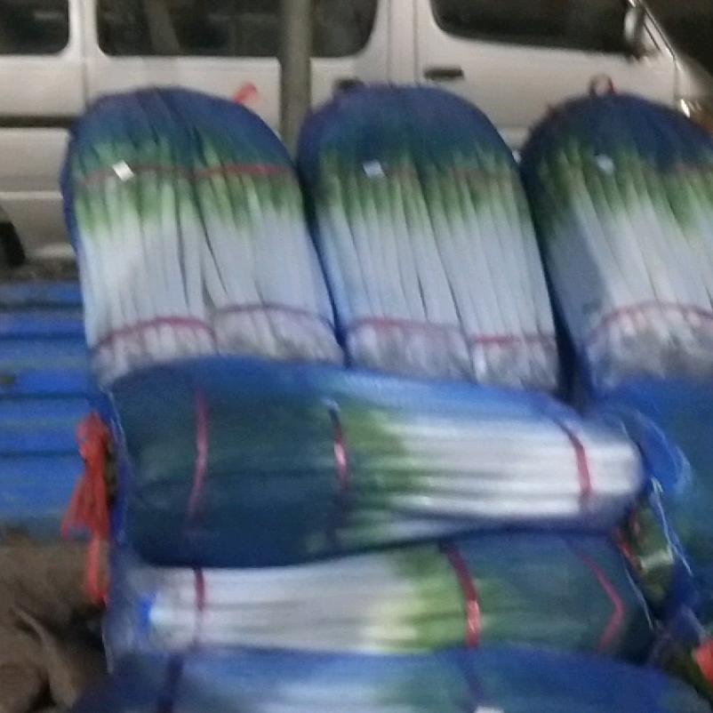 山东大葱（国源食品）