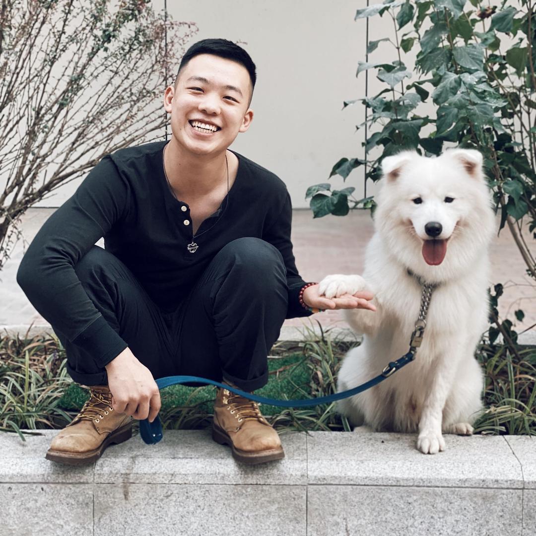 杨子墨