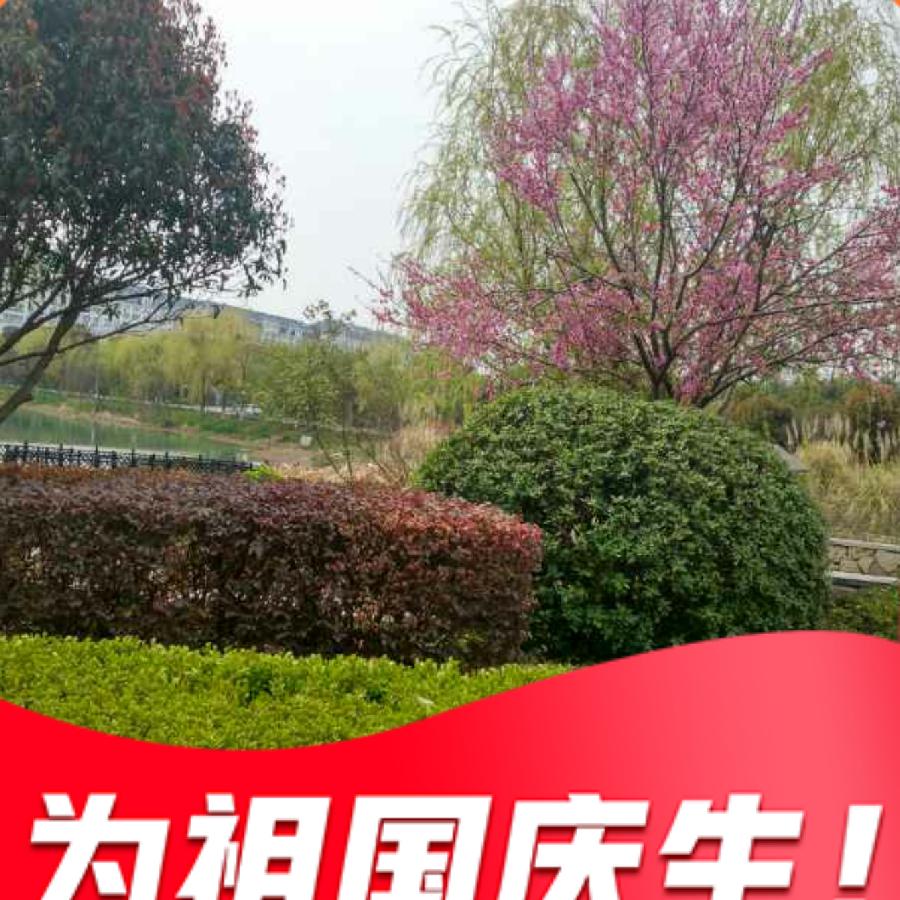用户566506806188
