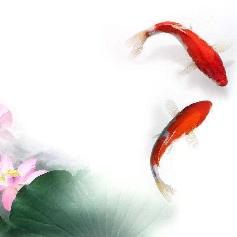 静...
