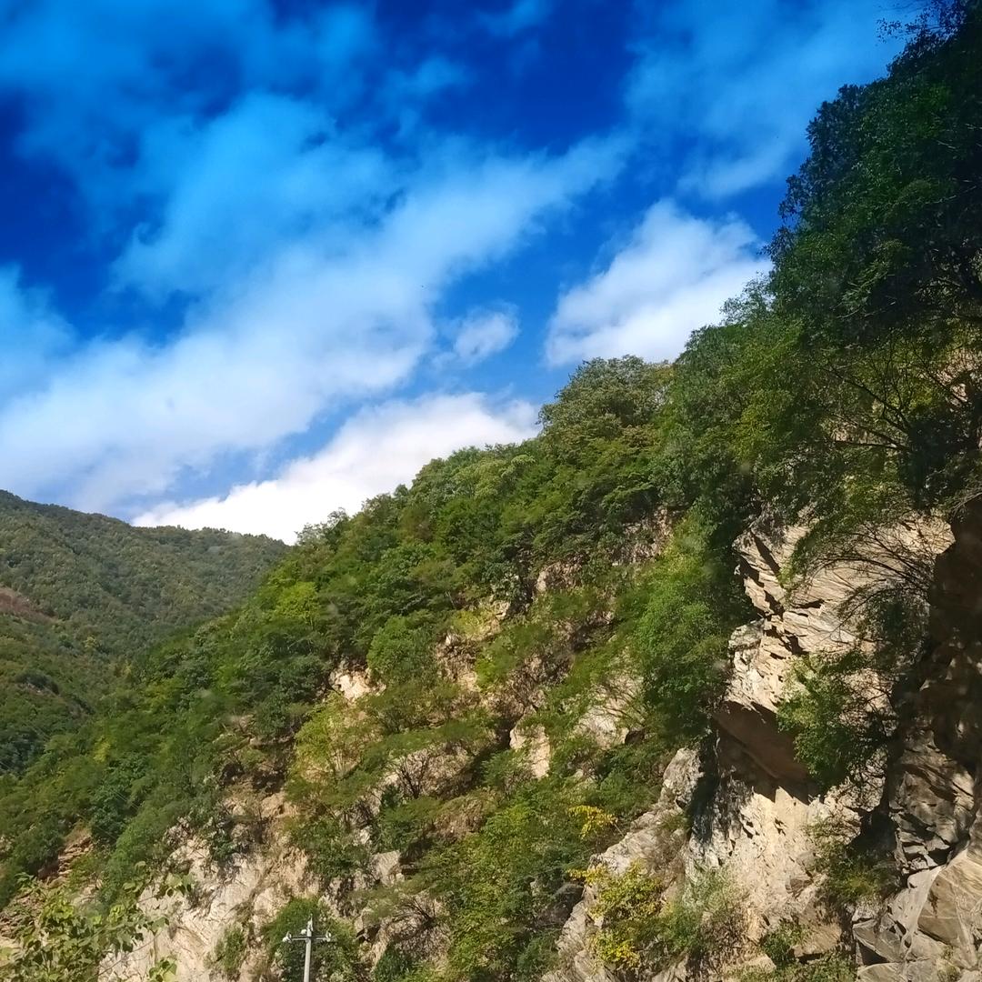 叉车.吊车.装载机出租