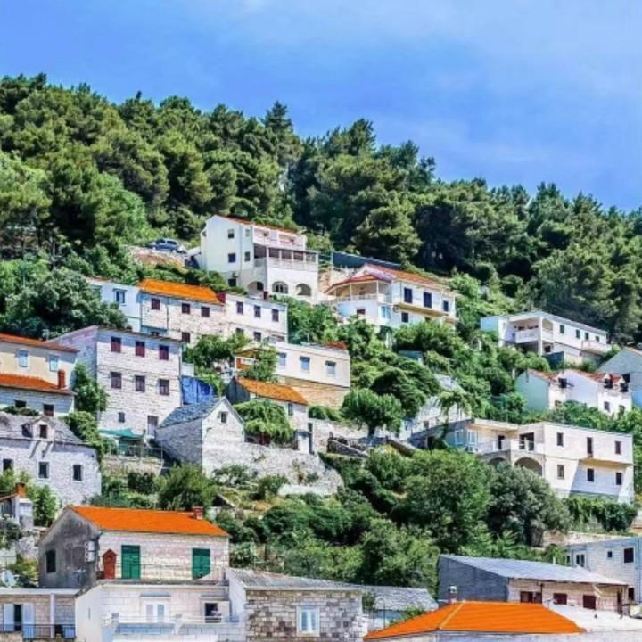 🎇水木年华🎇