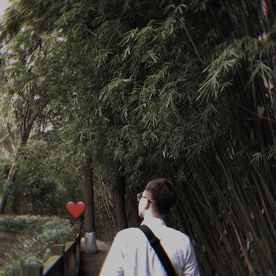 凯凯旅行日记✈️