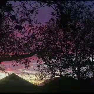 兴聚源混凝土现场和销售张金丽一眼万年