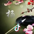 杨兴兵