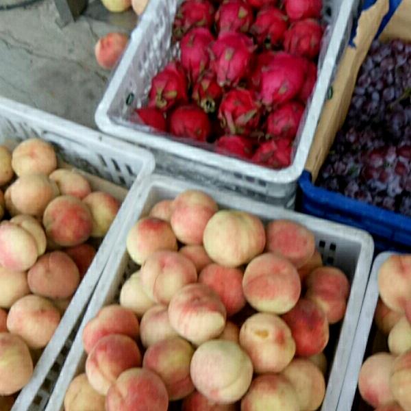 徐寨邢庄水果店