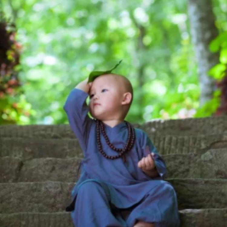 龙哥☔️新阳光雨棚