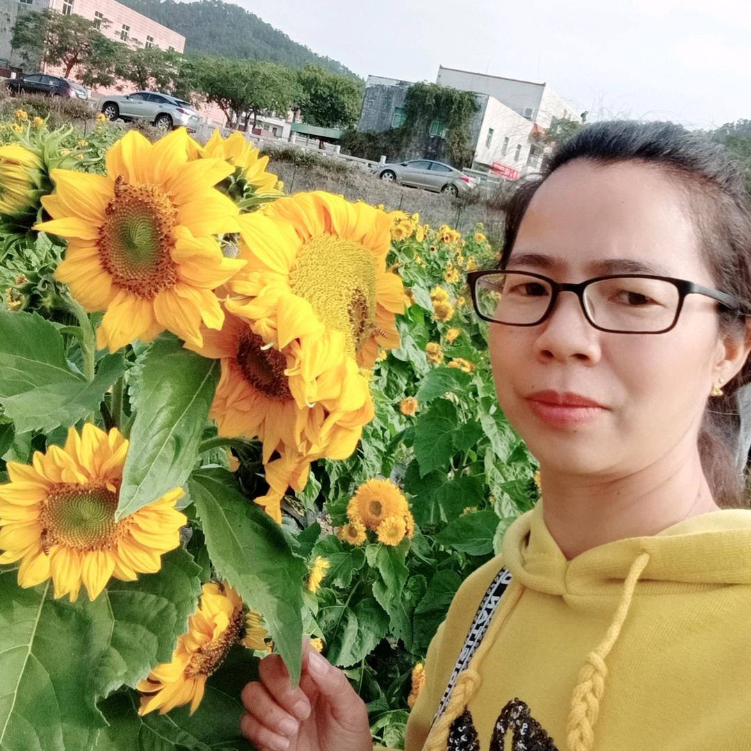 林灵儿