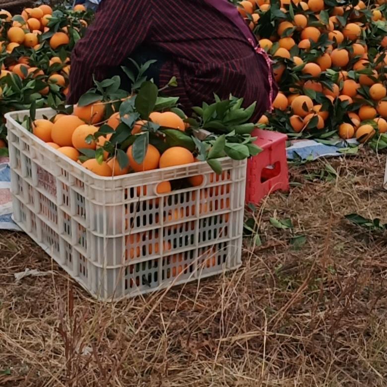 又是一个不眠之夜