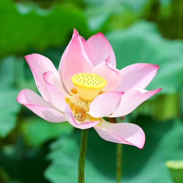 幸福的女人…拒私聊