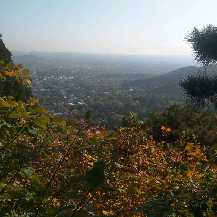 修身处世、莫善于诚